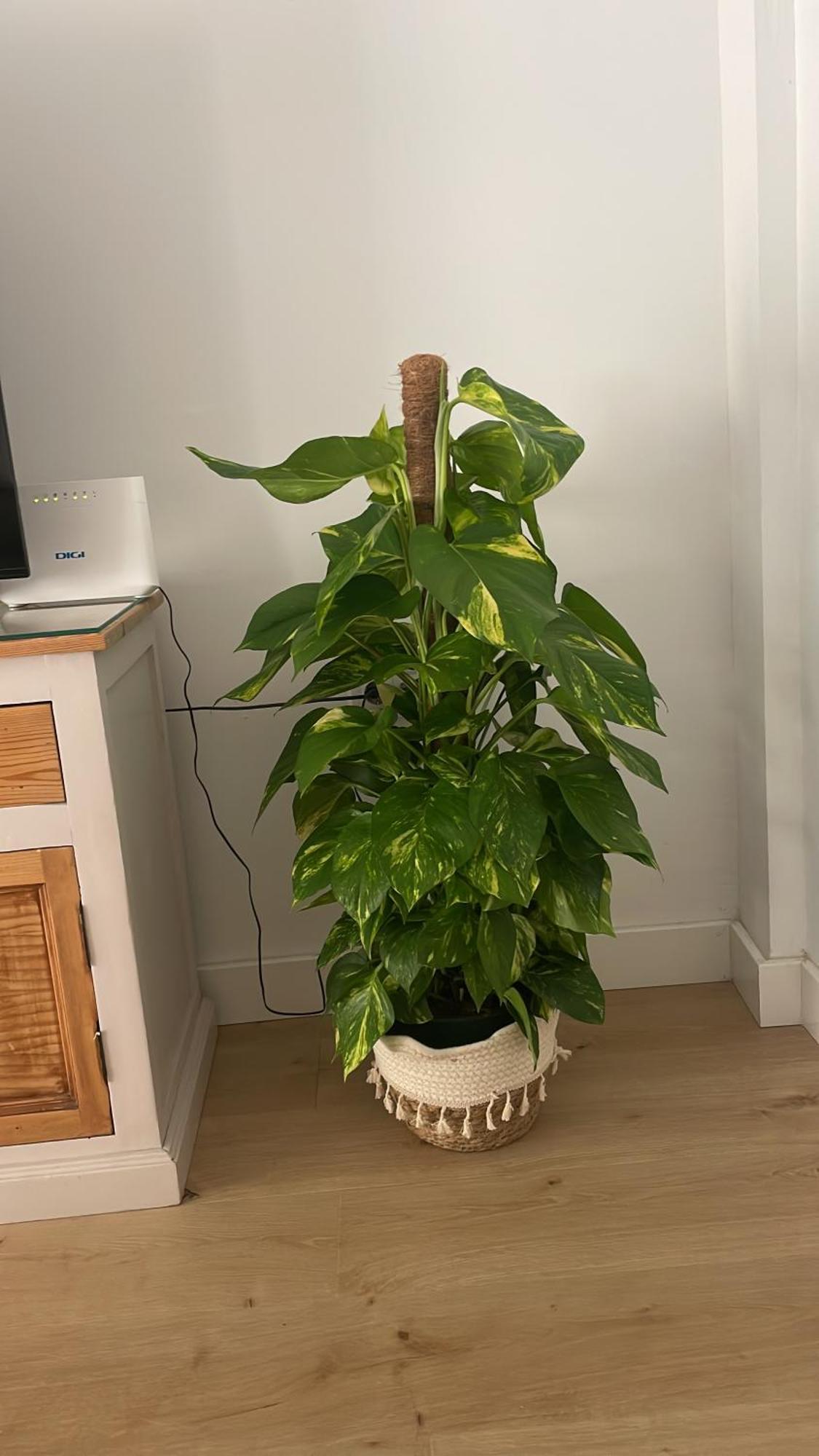 Exclusivo Apartamento Cerca De La Playa Málaga Dış mekan fotoğraf